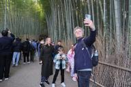 Foreign tourists take picture of Bamboo Forest in Arashiyama, Kyoto Prefecture, Japan, March 22, 2024. (Photo by Yohei Osada\/AFLO