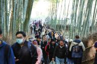 Foreign and Japanese tourists visit Bamboo Forest in Arashiyama, Kyoto Prefecture, Japan, March 22, 2024. (Photo by Yohei Osada\/AFLO