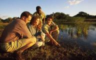 Ranger and guests looking at spoor at Phinda Game Reserve. KwaZulu-Natal. South