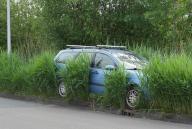 Assen - A car overgrown by tall grass is almost invisible from the road. Who the owner is is a mystery. The police do not consider it a police matter and the municipality of Assen has started an investigation Anp/Hollandse Hoogte/Persbureau Meter netherlands out - belgium