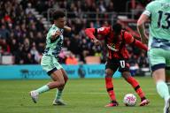 1st April 2023; Vitality Stadium, Boscombe, Dorset, England: Premier League Football, AFC Bournemouth versus Fulham; Dango Ouattara of Bournemouth tries to get a shat away under pressure from Antonee Robinson of