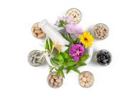 Food supplements based on active ingredients from medicinal plants
