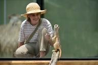Happy animal lover teenager girl (Femal age 13-14) looking at funny Meerkat (Suricata suricatta) or suricate) mongoose