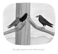 "You might recognize me as the ‘Nevermore’ guy
