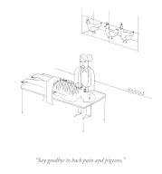 ‚ÄúSay goodbye to back pain and pigeons