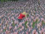 Boston, Massachusetts USA: May 22, 2014 A woman helps to plant some of thirty-seven thousand (37,000) American flags on Boston Common. It happened four days before Memorial Day. The number of flags marks how many soldiers died from Massachusetts ...