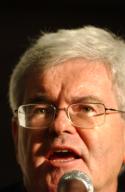 8/30/04/04 2004 REPUBLICAN NATIONAL CONVENTION/REPUBLICAN MAIN STREET PARTNERSHIP PANEL--Former House Speaker Newt Gingrich R-Ga. during a panel discussion with Former EPA administrator Christine Todd Whitman moderator U.S. Rep. Fred Upton R-...