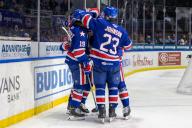 April 19th, 2024: Rochester Americans players celebrate a goal in the second period against the Cleveland Monsters. The Rochester Americans hosted the Cleveland Monsters in an American Hockey League game at Blue Cross Arena in Rochester, New York. (Jonathan Tenca\/CSM) (Credit Image: Â Jonathan Tenca\/Cal Sport Media