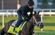 April 24, 2024, Louisville, Kentucky, USA: Fierceness trained by Todd Pletcher works in preparation for the Kentucky Derby at Churchill Downs in Louisville, Kentucky on April 24, 2024. Carson Blevins\/Eclipse Sportswire\/CSM(Credit Image: Â Carson Blevins\/Cal Sport Media