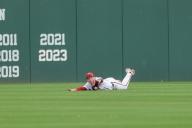 April 26, 2024: Razorback center fielder Ty Wilmsmeyer #1 dives to make a catch on a ball hit towards him. Arkansas defeated Florida 2-1 in Fayetteville, AR. Richey Miller\/CSM(Credit Image: Richey Miller\/Cal Sport Media
