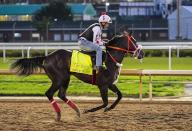 April 28, 2024, Louisville, Kentucky, USA: Grand Mo the First, trained by Victor Barboza Jr., exercises in preparation for the upcoming 150th running of the Kentucky Derby at Churchill Downs in Louisville, Kentucky on April 28, 2024 Tere Poplin\/Eclipse Sportswire\/CSM(Credit Image: Tere Poplin\/Cal Sport Media