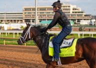 April 28, 2024, Louisville, Kentucky, USA: Fierceness, trained by Todd Pletcher, exercises in preparation for the upcoming 150th running of the Kentucky Derby at Churchill Downs in Louisville, Kentucky on April 28, 2024 Tere Poplin\/Eclipse Sportswire\/CSM(Credit Image: Tere Poplin\/Cal Sport Media