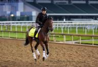 April 28, 2024, Louisville, Kentucky, USA: T O Password, trained by Daisuke Takayanagi, exercises in preparation for the upcoming 150th running of the Kentucky Derby at Churchill Downs in Louisville, Kentucky on April 28, 2024 Tere Poplin\/Eclipse Sportswire\/CSM(Credit Image: Tere Poplin\/Cal Sport Media