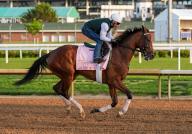 April 28, 2024, Louisville, Kentucky, USA: Just F Y I, trained by Bill Mott, exercises in preparation for the upcoming 150th running of the Kentucky Oaks at Churchill Downs in Louisville, Kentucky on April 28, 2024 Tere Poplin\/Eclipse Sportswire\/CSM(Credit Image: Tere Poplin\/Cal Sport Media