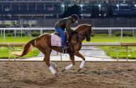 April 28, 2024, Louisville, Kentucky, USA: Tapit Jenallie, trained by Eddie Milligan Jr., exercises in preparation for the upcoming 150th running of the Kentucky Oaks at Churchill Downs in Louisville, Kentucky on April 28, 2024 Tere Poplin\/Eclipse Sportswire\/CSM(Credit Image: Tere Poplin\/Cal Sport Media