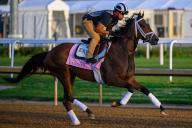 April 28, 2024, Louisville, Kentucky, USA: Candied, trained by Todd Pletcher, exercises in preparation for the upcoming 150th running of the Kentucky Oaks at Churchill Downs in Louisville, Kentucky on April 28, 2024 Carlos J. Calo\/Eclipse Sportswire\/CSM(Credit Image: Carlos J. Calo\/Cal Sport Media