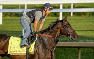 March 21, 2019, Louisville, Ky, USA: Honor Marie, trained by Whit Beckman, exercises in preparation for the upcoming 150th running of the Kentucky Derby at Churchill Downs in Louisville, Kentucky on April 29, 2024. photo by Scott Serio\/Eclipse Sportswire\/CSM(Credit Image: Sgs\/Cal Sport Media