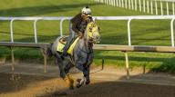 March 21, 2019, Louisville, Ky, USA: West Saratoga, trained by Larry Demeritte, exercises in preparation for the upcoming 150th running of the Kentucky Derby at Churchill Downs in Louisville, Kentucky on April 29, 2024. photo by Scott Serio\/Eclipse Sportswire\/CSM(Credit Image: Sgs\/Cal Sport Media