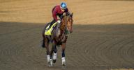 March 21, 2019, Louisville, Ky, USA: T O Password, trained by Daisuke Takayanagi, exercises in preparation for the upcoming 150th running of the Kentucky Derby at Churchill Downs in Louisville, Kentucky on April 29, 2024. photo by Scott Serio\/Eclipse Sportswire\/CSM(Credit Image: Sgs\/Cal Sport Media