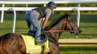 March 21, 2019, Louisville, Ky, USA: Honor Marie, trained by Whit Beckman, exercises in preparation for the upcoming 150th running of the Kentucky Derby at Churchill Downs in Louisville, Kentucky on April 29, 2024. photo by Scott Serio\/Eclipse Sportswire\/CSM(Credit Image: Sgs\/Cal Sport Media