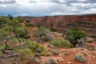 May 02, 2024: Lush greens of pinyon, juniper, and sage highlight the rich reds of the deep canyon walls in the Colorado National Monument, Grand Junction, Colorado. (Credit Image: Â Larry Clouse\/Csm\/Cal Sport Media