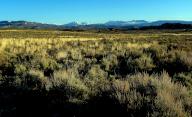 May 02, 2024: The deep green sage landscape of ColoradoÃ¢â¬â¢s high desert leads into the fertile Gunnison River Basin and the West Elk Range, Gunnison, Colorado. (Credit Image: Â Larry Clouse\/Csm\/Cal Sport Media