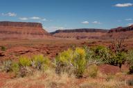 May 02, 2024: Rich natural colors compliment the deep reds of Castle Velley within dramatic high desert and canyon landscapes near Moab, Utah. (Credit Image: Â Larry Clouse\/Csm\/Cal Sport Media