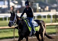 May 2, 2024, Louisville, Ky, USA: Fierceness , trained by Todd Pletcher, exercises in preparation for the upcoming 150th running of the Kentucky Derby at Churchill Downs in Louisville, Kentucky on May 2, 2024. photo by Karina Serio\/Eclipse Sportswire\/CSM(Credit Image: Karina Serio\/Cal Sport Media