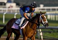 May 2, 2024, Louisville, Ky, USA: Leslie\'s Rose, trained by Todd Pletcher, exercises in preparation for the upcoming 150th running of the Kentucky Oaks at Churchill Downs in Louisville, Kentucky on May 2, 2024. photo by Karina Serio\/Eclipse Sportswire\/CSM(Credit Image: Karina Serio\/Cal Sport Media