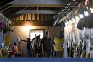 May 2, 2024, Louisville, Ky, USA: A horse walks shed row at Churchill Downs in Louisville, Kentucky on May 2, 2024. photo by Karina Serio\/Eclipse Sportswire\/CSM(Credit Image: Karina Serio\/Cal Sport Media