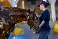 May 2, 2024, Louisville, Ky, USA: A horse gets a bath at Churchill Downs in Louisville, Kentucky on May 2, 2024. photo by Karina Serio\/Eclipse Sportswire\/CSM(Credit Image: Karina Serio\/Cal Sport Media