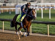 May 2, 2024, Louisville, Ky, USA: Mystik Dan, trained by Kenny McPeek, exercises in preparation for the upcoming 150th running of the Kentucky Derby at Churchill Downs in Louisville, Kentucky on May 2, 2024. photo by Karina Serio\/Eclipse Sportswire\/CSM(Credit Image: Karina Serio\/Cal Sport Media