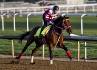 May 2, 2024, Louisville, Ky, USA: Forever Young, trained by Yoshito Yahagi, exercises in preparation for the upcoming 150th running of the Kentucky Derby at Churchill Downs in Louisville, Kentucky on May 2, 2024. photo by Karina Serio\/Eclipse Sportswire\/CSM(Credit Image: Karina Serio\/Cal Sport Media