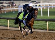 May 2, 2024, Louisville, Ky, USA: Sierra Leone , trained by Chad Brown, exercises in preparation for the upcoming 150th running of the Kentucky Derby at Churchill Downs in Louisville, Kentucky on May 2, 2024. photo by Karina Serio\/Eclipse Sportswire\/CSM(Credit Image: Karina Serio\/Cal Sport Media