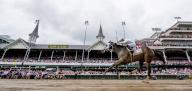 May 3, 2024, Louisville, Ky, USA: My Mane Squeeze (11) ridden Luis Suez wins the Eight Belles Stakes presented by Sysco (Grade.2) on Kentucky Oaks Stakes Day at Churchill Downs in Louisville, Kentucky on May 3, 2024. photo by Scott Serio\/Eclipse Sportswire\/CSM(Credit Image: Sgs\/Cal Sport Media