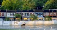 May 16, 2024, Baltimore, Md, USA: Horses exercise during morning workouts at Pimlico Race Course as horses exercise for Preakness Week stakes races in Baltimore, Maryland on May 16, 2024. Scott Serio//Eclipse Sportswire/CSM(Credit Image: Scott Serio/Cal Sport Media