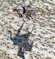 May 16, 2024, Baltimore, Md, USA: Seize The Grey exercises during morning workouts at Pimlico Race Course as horses exercise for Preakness Week stakes races in Baltimore, Maryland on May 16, 2024. Scott Serio//Eclipse Sportswire/CSM(Credit Image: Scott Serio/Cal Sport Media