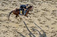May 16, 2024, Baltimore, Md, USA: Catching Freedom exercises during morning workouts at Pimlico Race Course as horses exercise for Preakness Week stakes races in Baltimore, Maryland on May 16, 2024. Scott Serio//Eclipse Sportswire/CSM(Credit Image: Scott Serio/Cal Sport Media