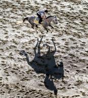 May 16, 2024, Baltimore, Md, USA: Seize The Grey exercises during morning workouts at Pimlico Race Course as horses exercise for Preakness Week stakes races in Baltimore, Maryland on May 16, 2024. Scott Serio//Eclipse Sportswire/CSM(Credit Image: Scott Serio/Cal Sport Media