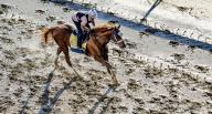 May 16, 2024, Baltimore, Md, USA: Mugatu exercises during morning workouts at Pimlico Race Course as horses exercise for Preakness Week stakes races in Baltimore, Maryland on May 16, 2024. Scott Serio//Eclipse Sportswire/CSM(Credit Image: Scott Serio/Cal Sport Media