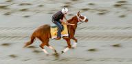 May 16, 2024, Baltimore, Md, USA: Gun Song exercises during morning workouts at Pimlico Race Course as horses exercise for Preakness Week stakes races in Baltimore, Maryland on May 16, 2024. Scott Serio//Eclipse Sportswire/CSM(Credit Image: Scott Serio/Cal Sport Media