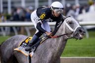 May 18, 2024, Baltimore, Md, USA: Seize the Grey, ridden by Jaime Torres, wins the Preakness Stakes (Grade 1) on PImlico Stakes Day at Pimlico Race Course in Baltimore, Maryland on May 18, 2024. Carlos Calo\/Eclipse Sportswire\/CSM(Credit Image: Â Carlos Calo\/Cal Sport Media