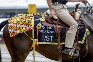 May 18, 2024, Baltimore, Md, USA: Scenes from Preakness Stakes Day at Pimlico Race Course in Baltimore, MD on May 18, 2024. Tim Sudduth\/Eclipse Sportswire\/CSM(Credit Image: Tim Sudduth\/Cal Sport Media