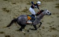 May 18, 2024, Baltimore, Md, USA: Seize the Grey, ridden by Jaime Torres, wins the Preakness Stakes (Grade 1) at Pimlico Race Course in Baltimore, MD on May 18, 2024. Johnny Voodoo/Eclipse Sportswire/CSM(Credit Image: Â Johnny Voodoo/Cal Sport Media