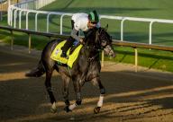 May 2, 2022, Louisville, KY, USA: May 2, 2022: Barber Road, trained by John Alexander Ortiz, exercises in preparation for the Kentucky Derby at Churchill Downs in Louisville, Kentucky on May 2, 2022. Scott G. Serio/Eclipse Sportswire