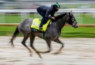 May 3, 2022, Louisville, KY, USA: May 3, 2022: Barber Road, trained by John Alexander Ortiz, exercises in preparation for the Kentucky Derby at Churchill Downs in Louisville, Kentucky on May 3, 2022. Scott G. Serio/Eclipse Sportswire