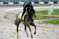May 3, 2022, Louisville, KY, USA: May 3, 2022: Barber Road, trained by John Alexander Ortiz, exercises in preparation for the Kentucky Derby at Churchill Downs in Louisville, Kentucky on May 3, 2022. Jon Durr/Eclipse Sportswire