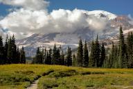 September 19, 2022: Brilliant autumn colors highlight the alpine trails of the Paradise district, Mt. Rainier National Park, Washington