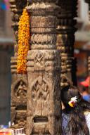 A woman sits beside a weathered carved wooden pillar with a flower garland on an old building in Patan, Nepal