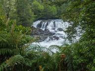 Ferns frame the Salto de los Novios, a waterfall on the Rio Gol Gol in Puyehue National Park in Chile